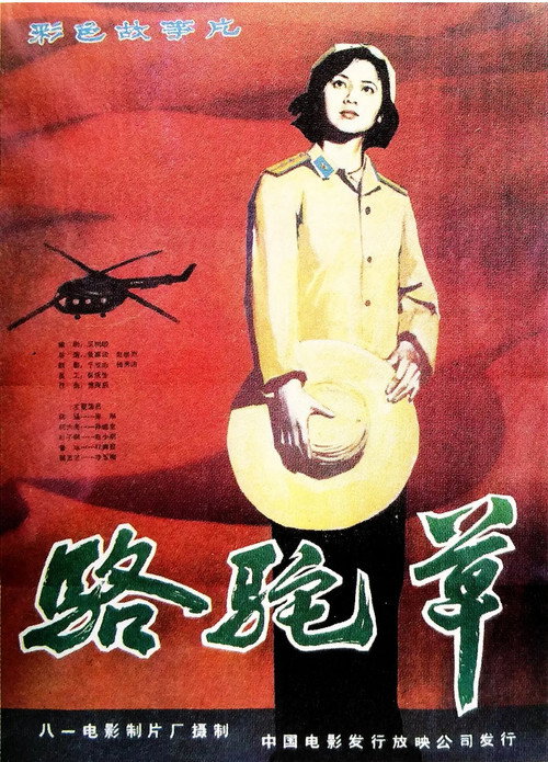 骆驼草 封面