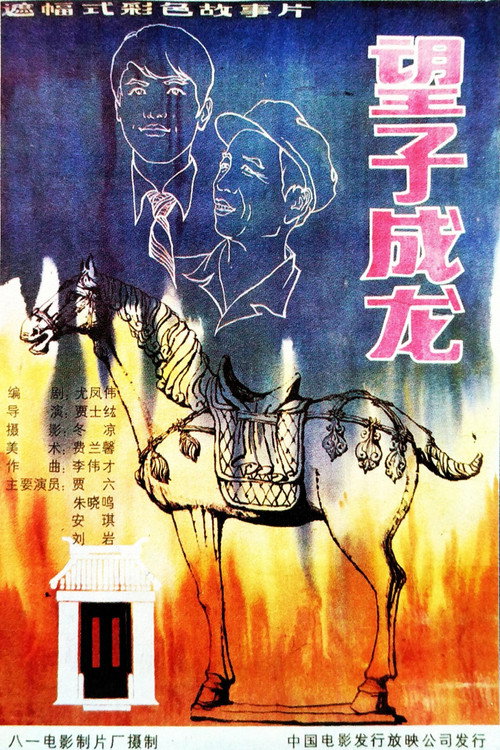 望子成龙 封面