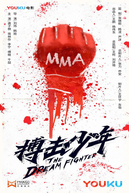 搏击少年 封面