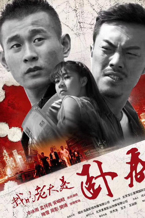 我的老大是卧底 封面