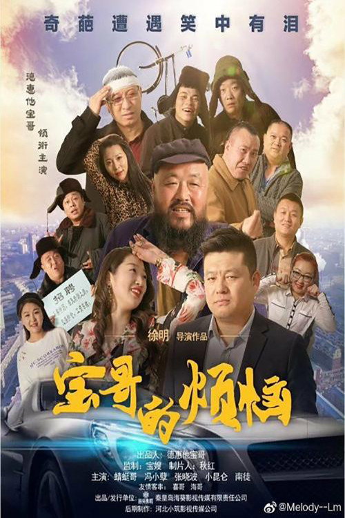 宝哥的烦恼 封面