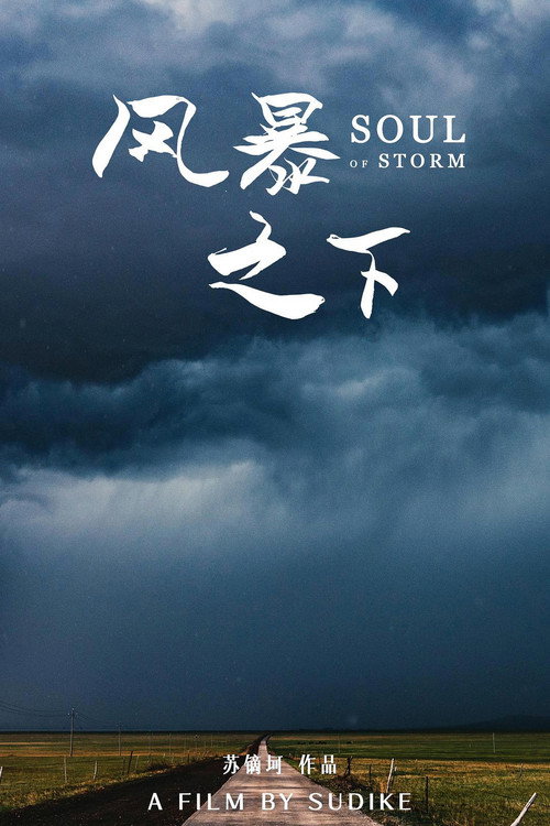 风暴之下 封面