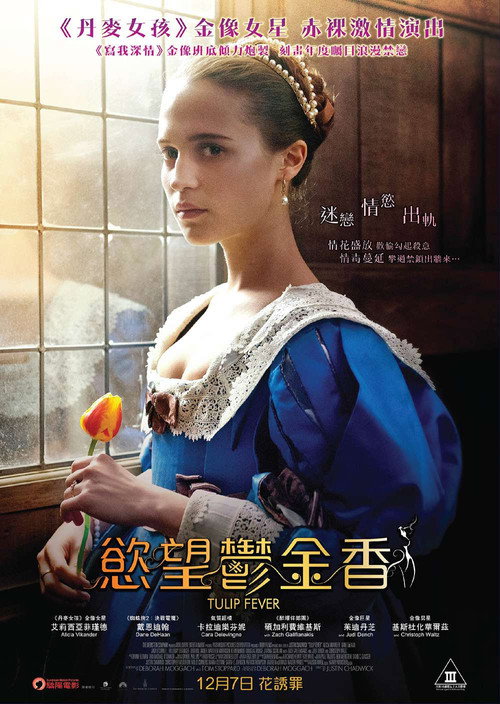 狂热郁金香 封面