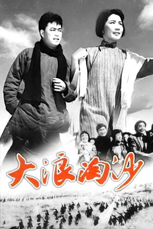大浪淘沙 封面