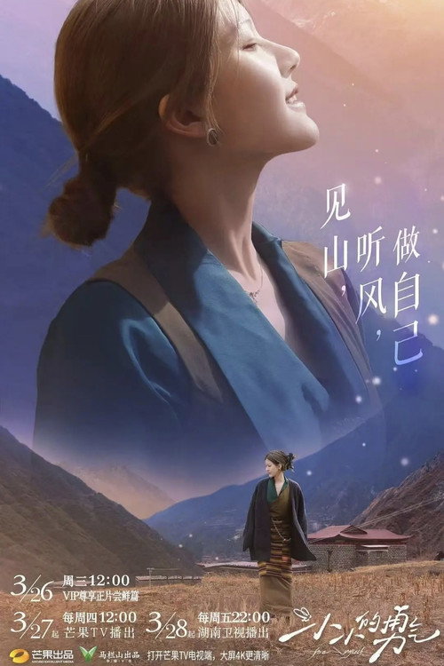 小小的勇气 封面