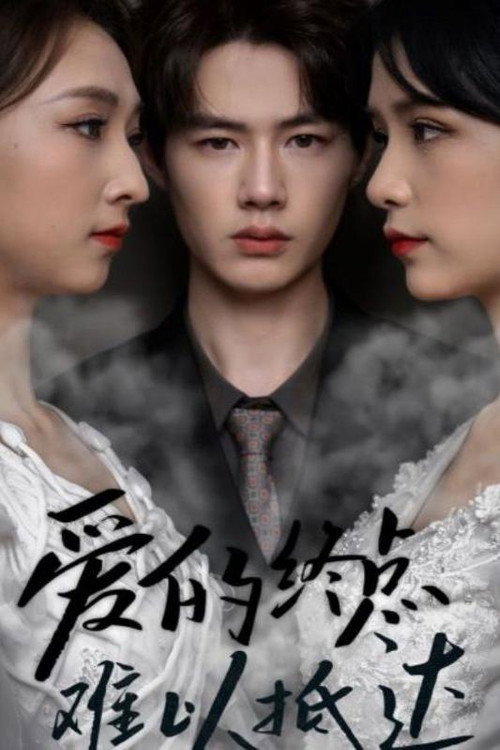 爱的终点难以抵达 封面