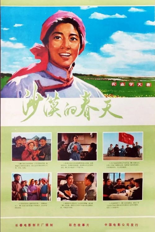 沙漠的春天 封面