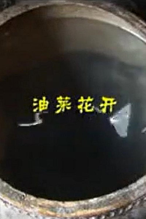油菜花开 封面