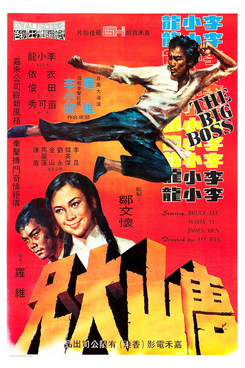 唐山大兄 封面