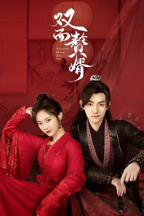 双面赘婿 封面