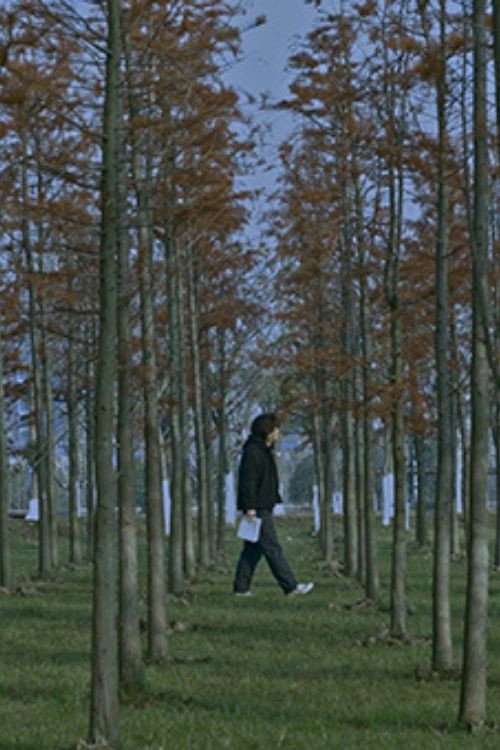 五里霧中 封面