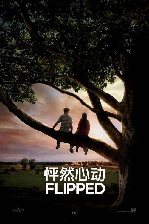 怦然心动 封面