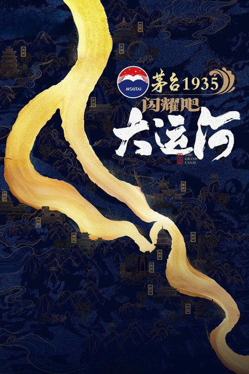 闪耀吧!大运河 封面