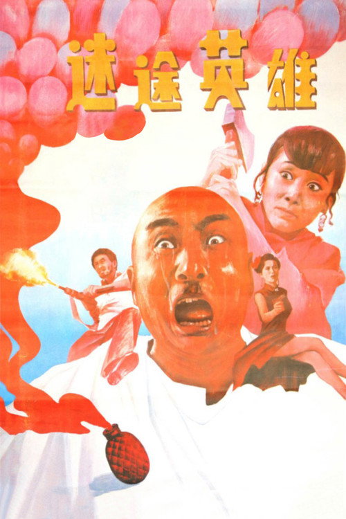 迷途英雄 封面