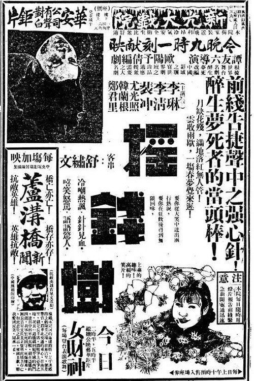 摇钱树 封面