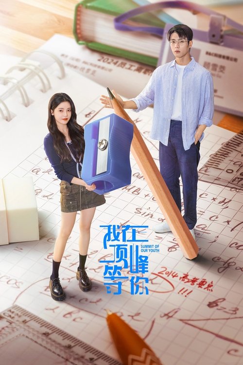 我在顶峰等你 封面