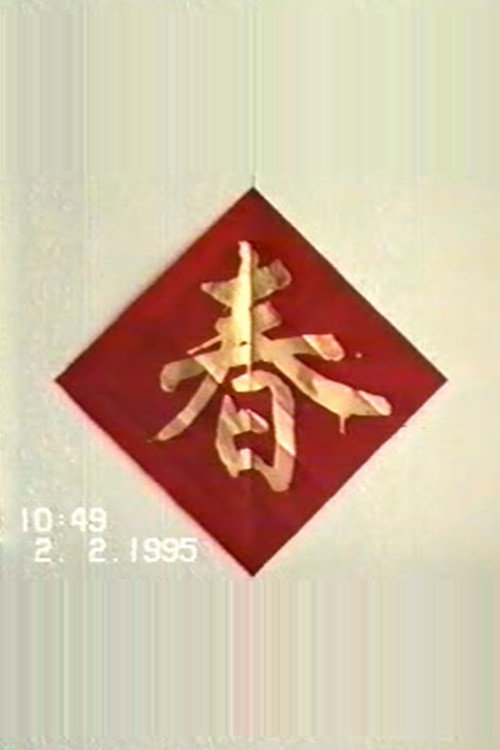1995年2月2日民间举办迎喜花会 封面
