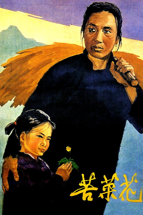 苦菜花 封面