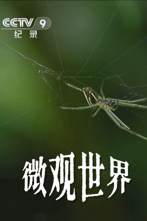 微观世界 封面