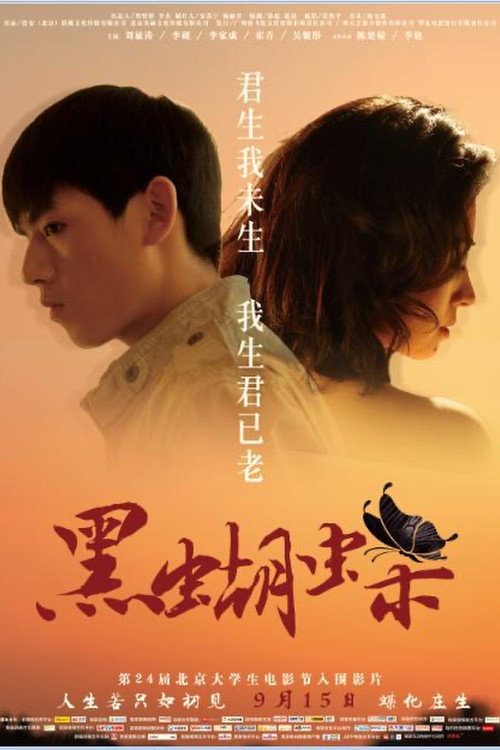 黑蝴蝶 封面