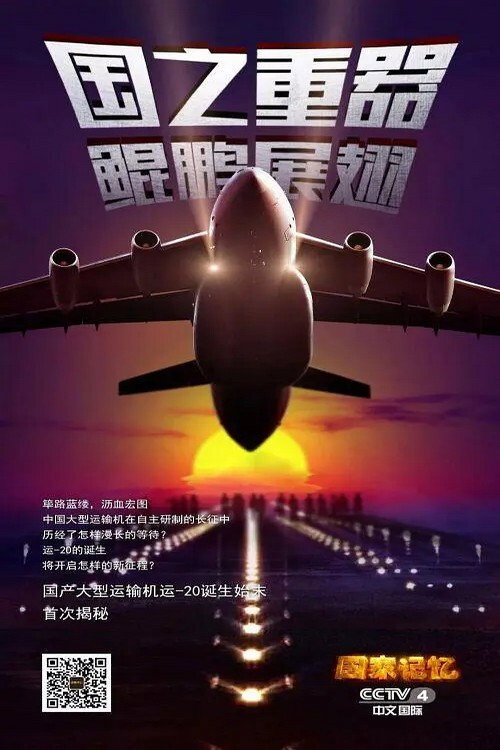大国鲲鹏 封面