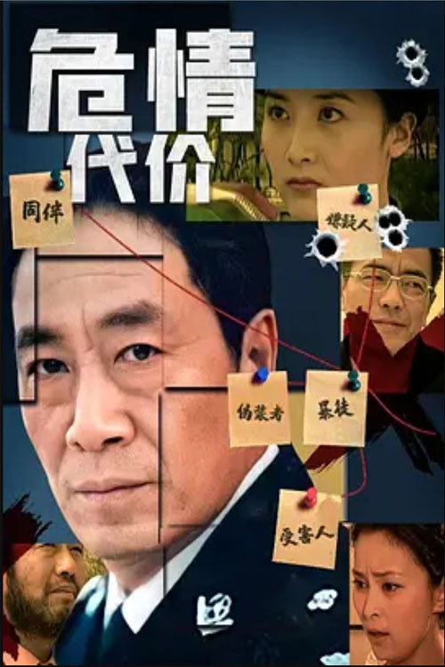 危情代价 封面