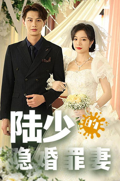陆少的隐婚罪妻 封面