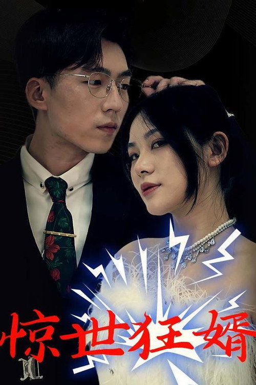 惊世狂婿 封面