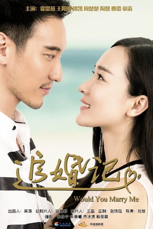 追婚记 封面