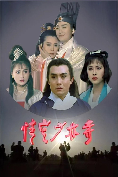 情定少林寺 封面