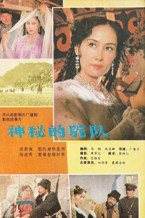 神秘驼队 封面