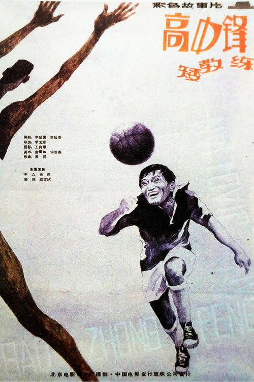 高中锋,矮教练 封面