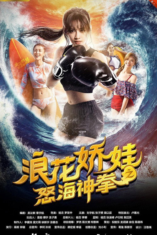 浪花娇娃之怒海神拳 封面