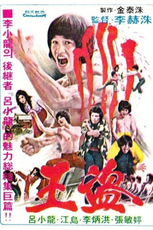 Pi li long quan 封面