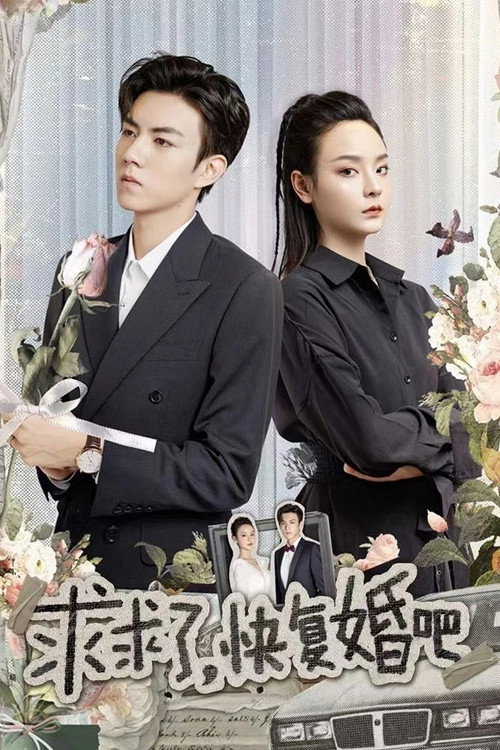 求求了,快复婚吧 封面