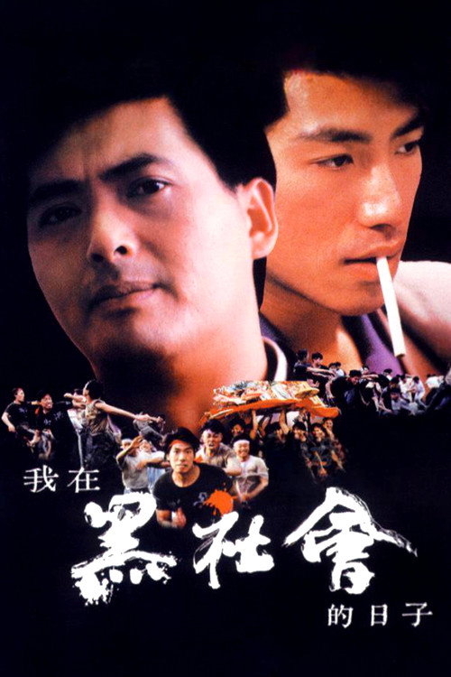 我在黑社会的日子 封面