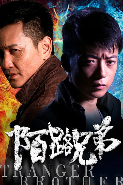陌路兄弟 封面