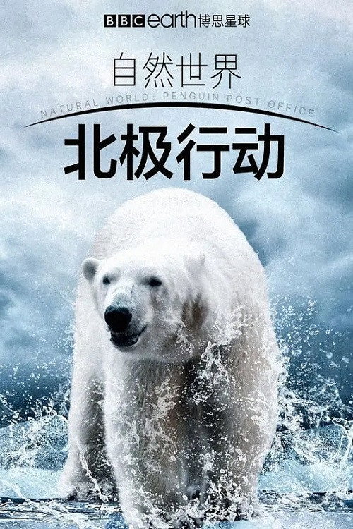 北极行动 封面
