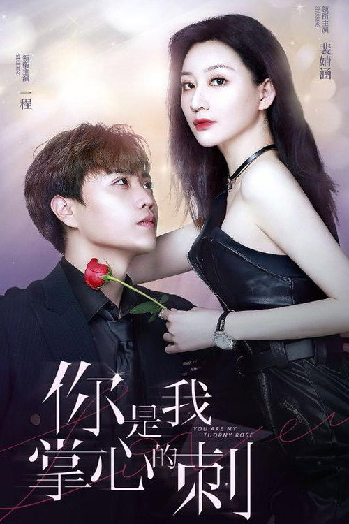你是我掌心的刺 封面
