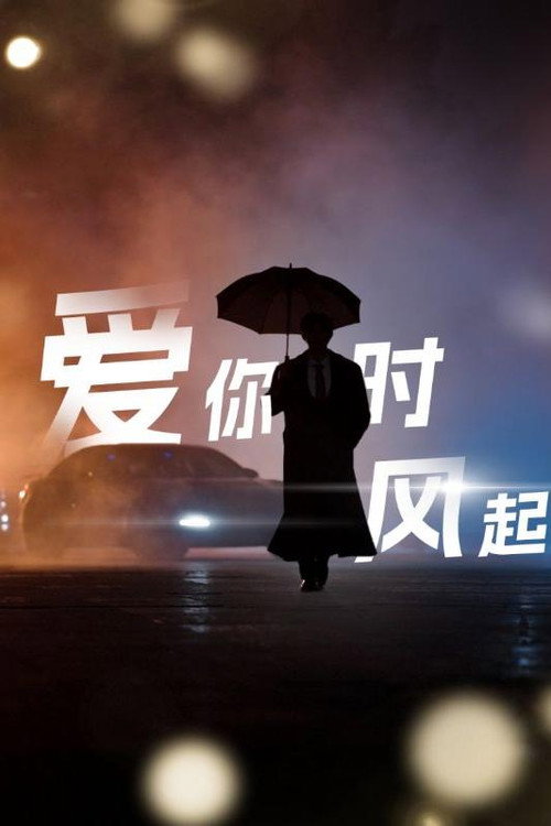 爱你时风起 封面