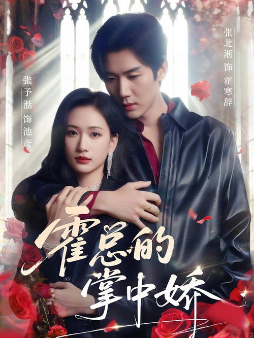 霍总的掌中娇 封面