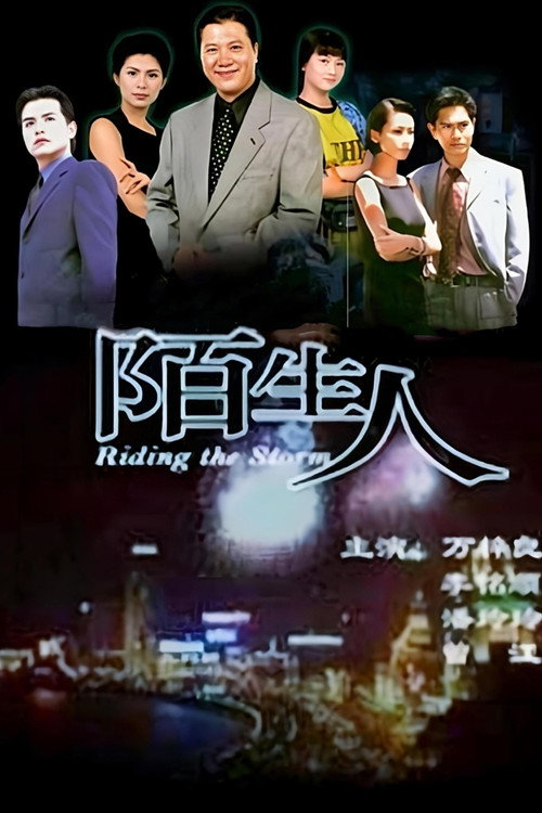 陌生人 封面