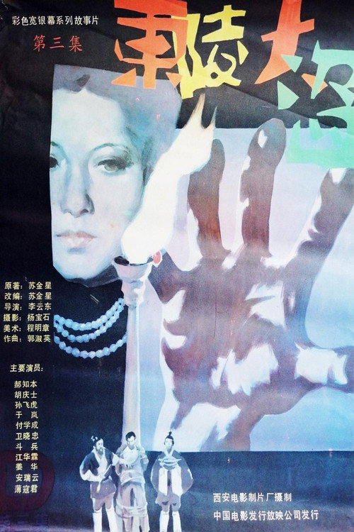 东陵大盗(三) 封面