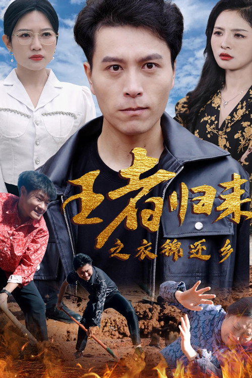 王者归来之衣锦还乡 封面