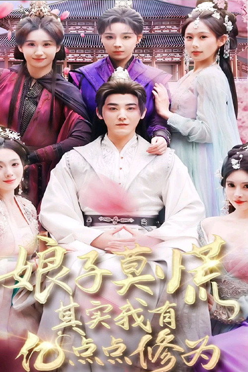娘子莫慌其实我有亿点点修为 封面