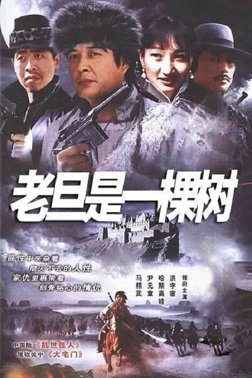 老旦是一棵树 封面