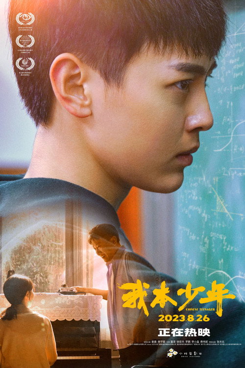 我本少年 封面
