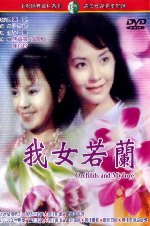 我女若兰 封面
