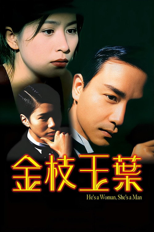 金枝玉叶 封面