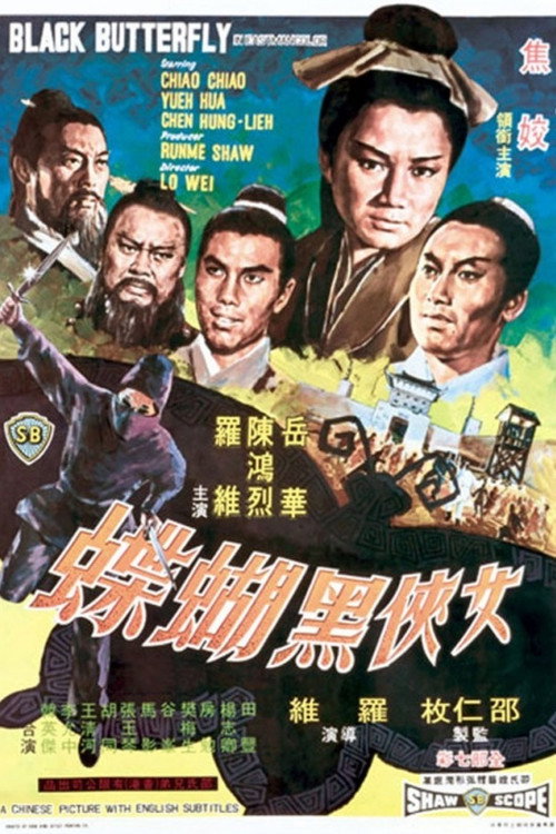 女侠黑蝴蝶 封面